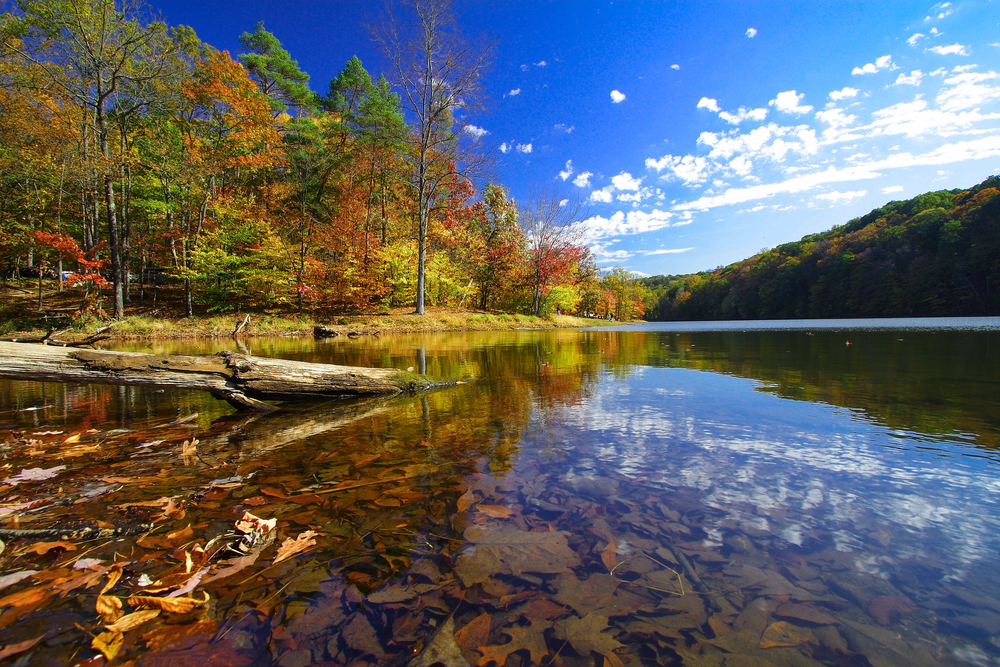 Autumn,At,Brown,County,State,Park,,Indiana